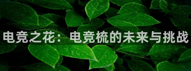 火博电竞app官网网站：电竞之花：电竞梳的未来与挑战