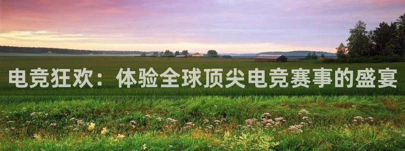 火博电竞app官网网站：电竞狂欢：体验全球顶尖电竞赛事的盛宴