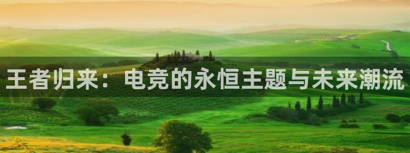 火博电竞app官网网站：王者归来：电竞的永恒主题与未来潮流