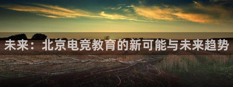 火博电竞app官网网站：未来：北京电竞教育的新可能与未来趋势