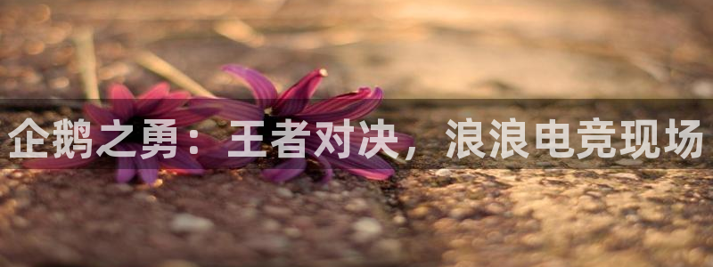 火博电竞官网入口：企鹅之勇：王者对决，浪浪电竞现场