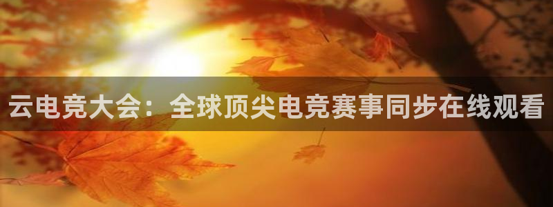 火博电竞网站：云电竞大会：全球顶尖电竞赛事同步在线观看