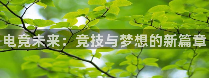 火博电竞网站：电竞未来：竞技与梦想的新篇章