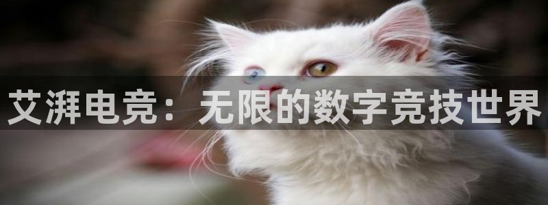 火博电竞官网入口：艾湃电竞：无限的数字竞技世界