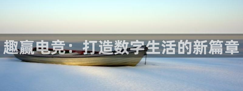 火博电竞app官网网站：趣赢电竞：打造数字生活的新篇章