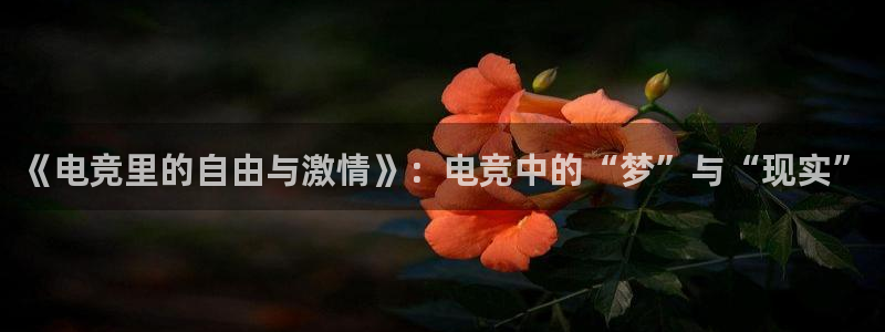火博电竞app官网网站：《电竞里的自由与激情》：电竞中的“梦”与“现实”