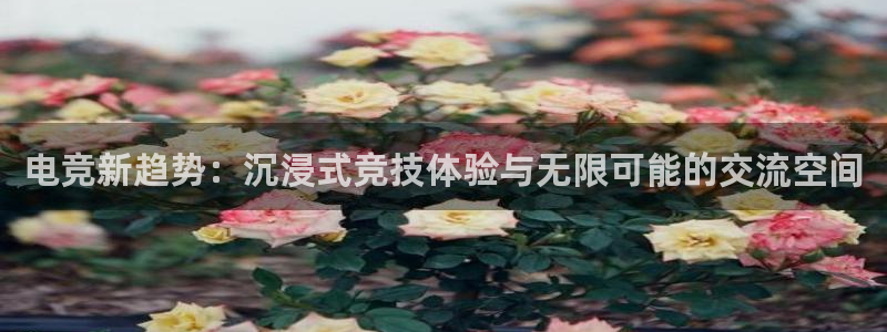 火博电竞网站：电竞新趋势：沉浸式竞技体验与无限可能的交流空间