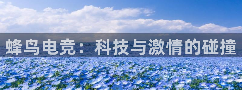 火博电竞：蜂鸟电竞：科技与激情的碰撞