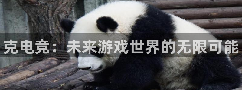 火博电竞网站：克电竞：未来游戏世界的无限可能